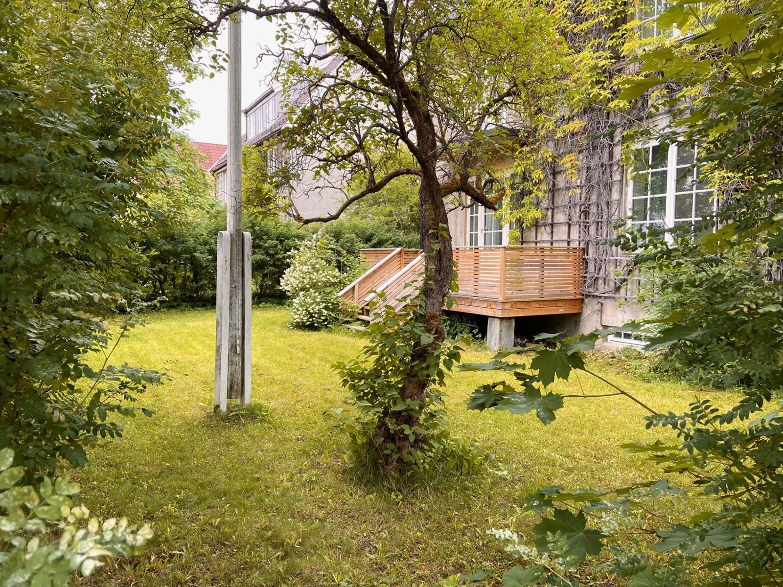 Sommerbilde. Galleribilde