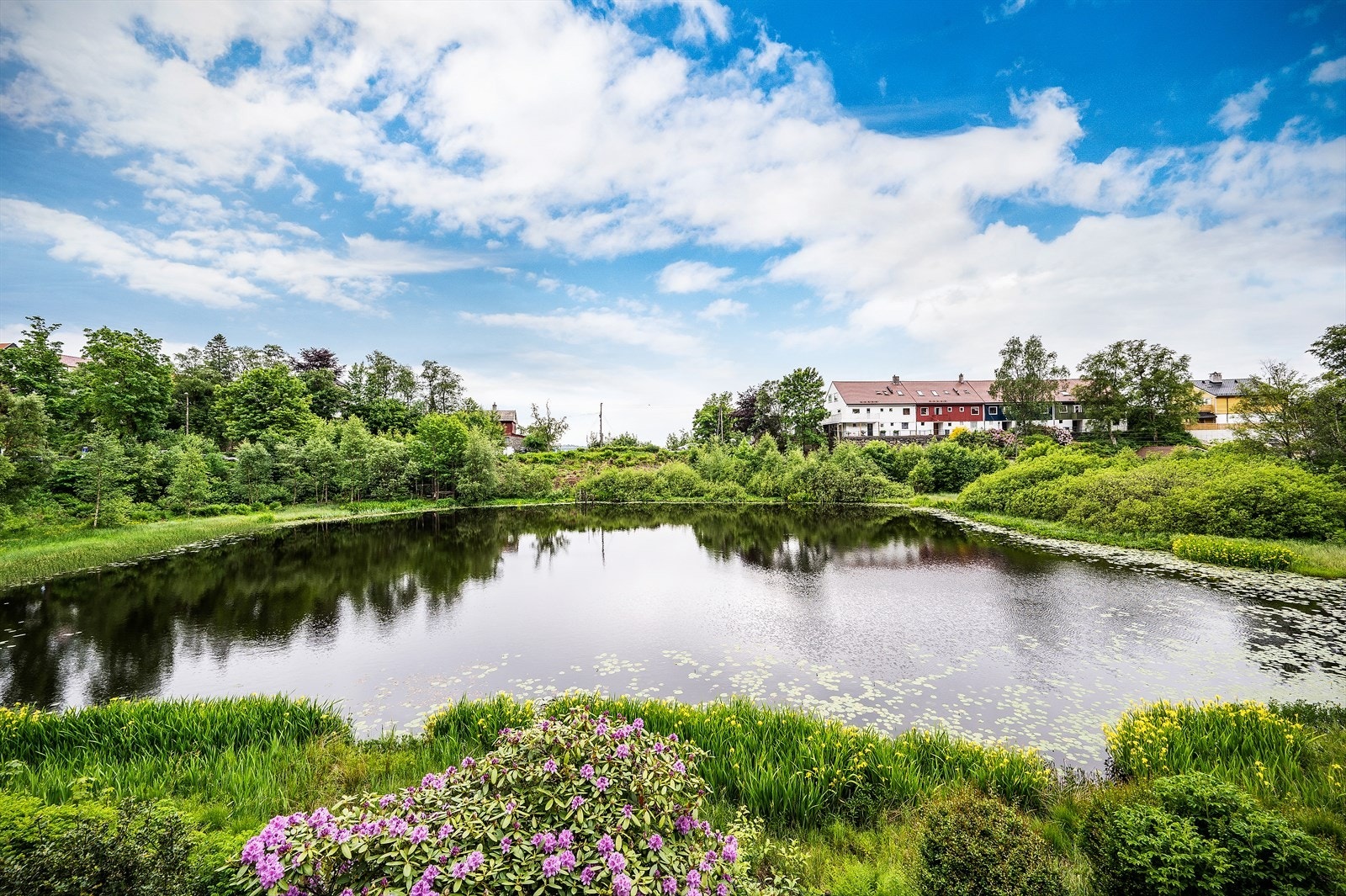 - Naturskjønn beliggenhet ved Eikevikstjernet - Galleribilde