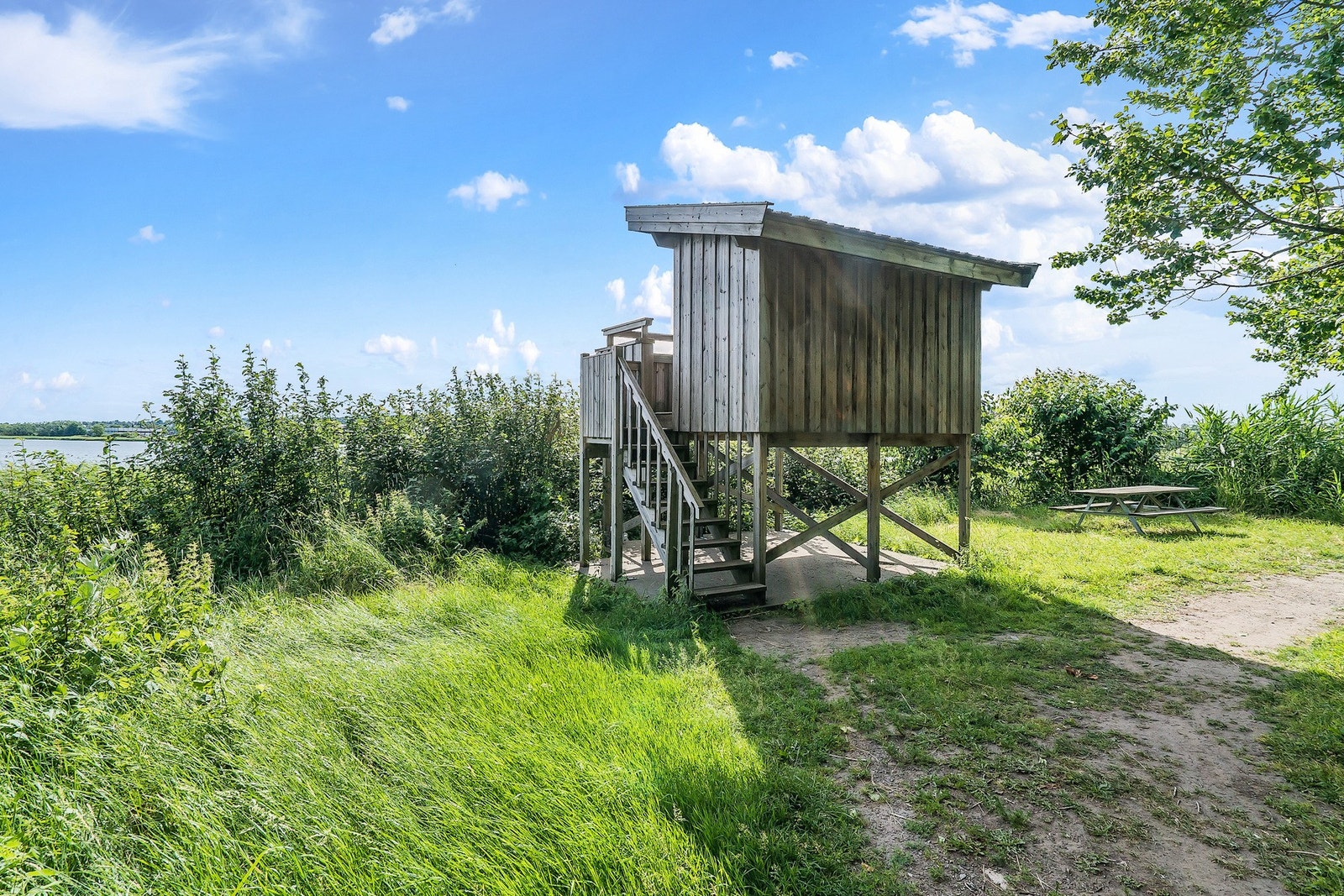 Fuglereservatet ligger rett ved Galleribilde