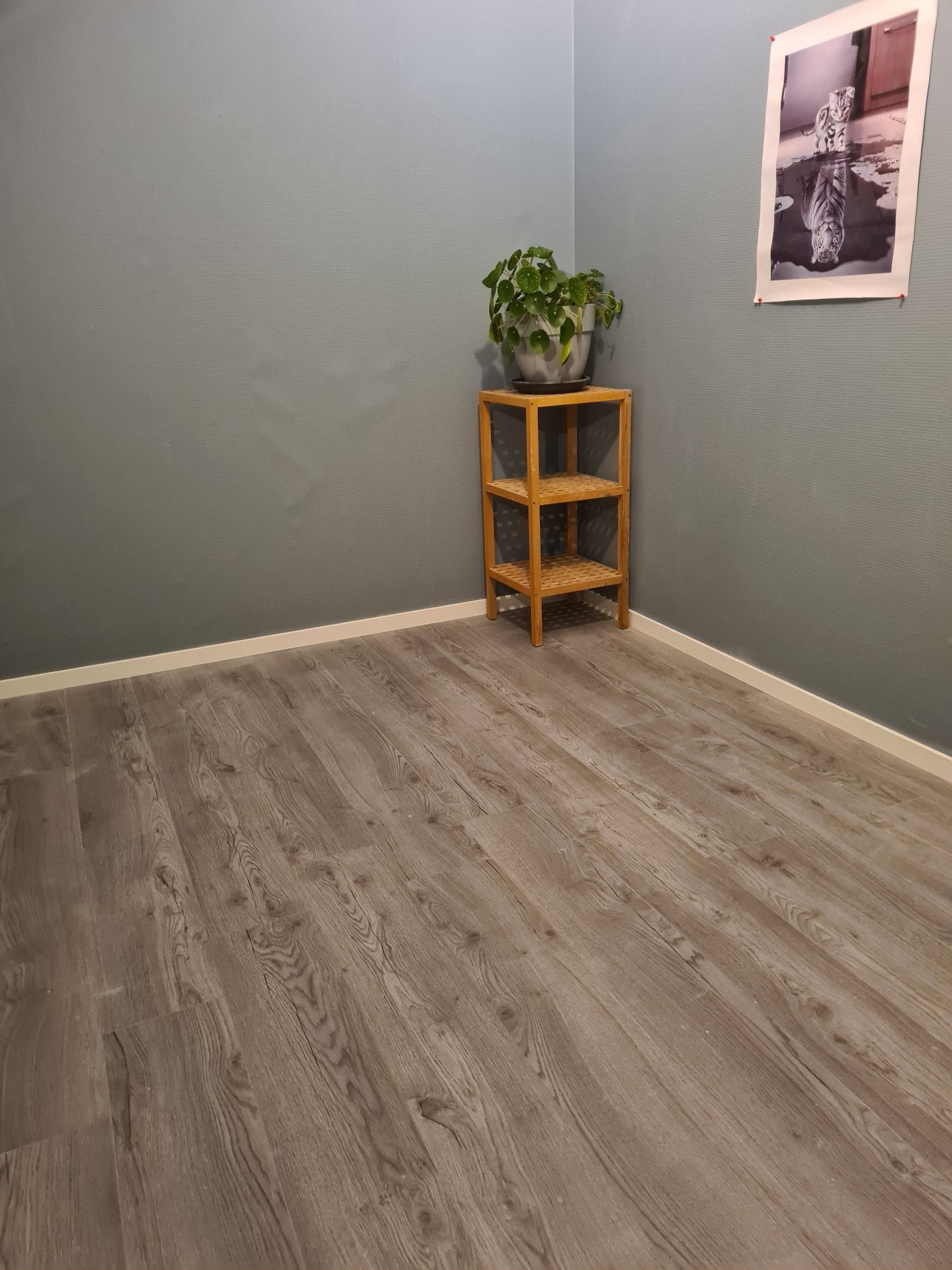 Bod uten vindu, her kan man lage walk-in garderobe,TV-stue og annet. Galleribilde