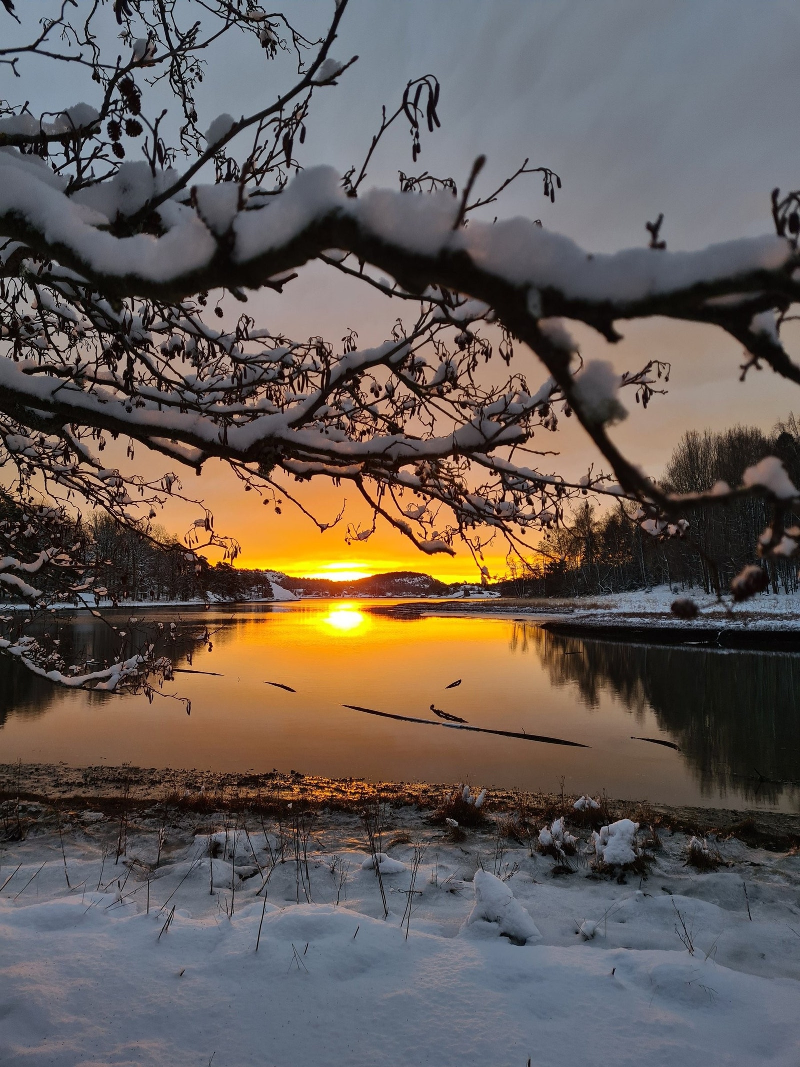Vinterbilder fra Djupsund. Morgengry. Galleribilde