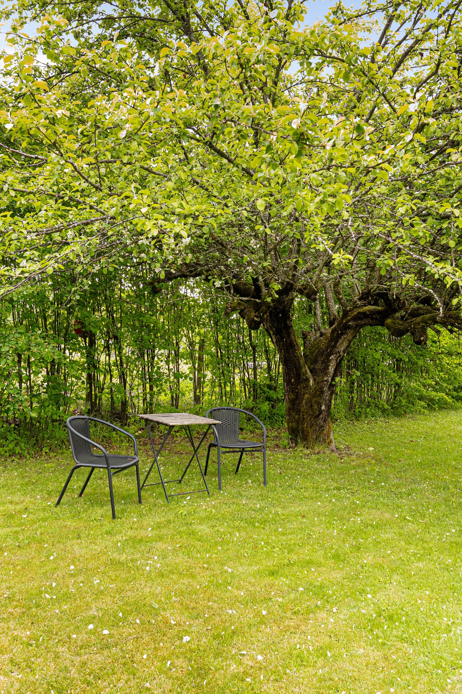 Frodig og fin hage Galleribilde