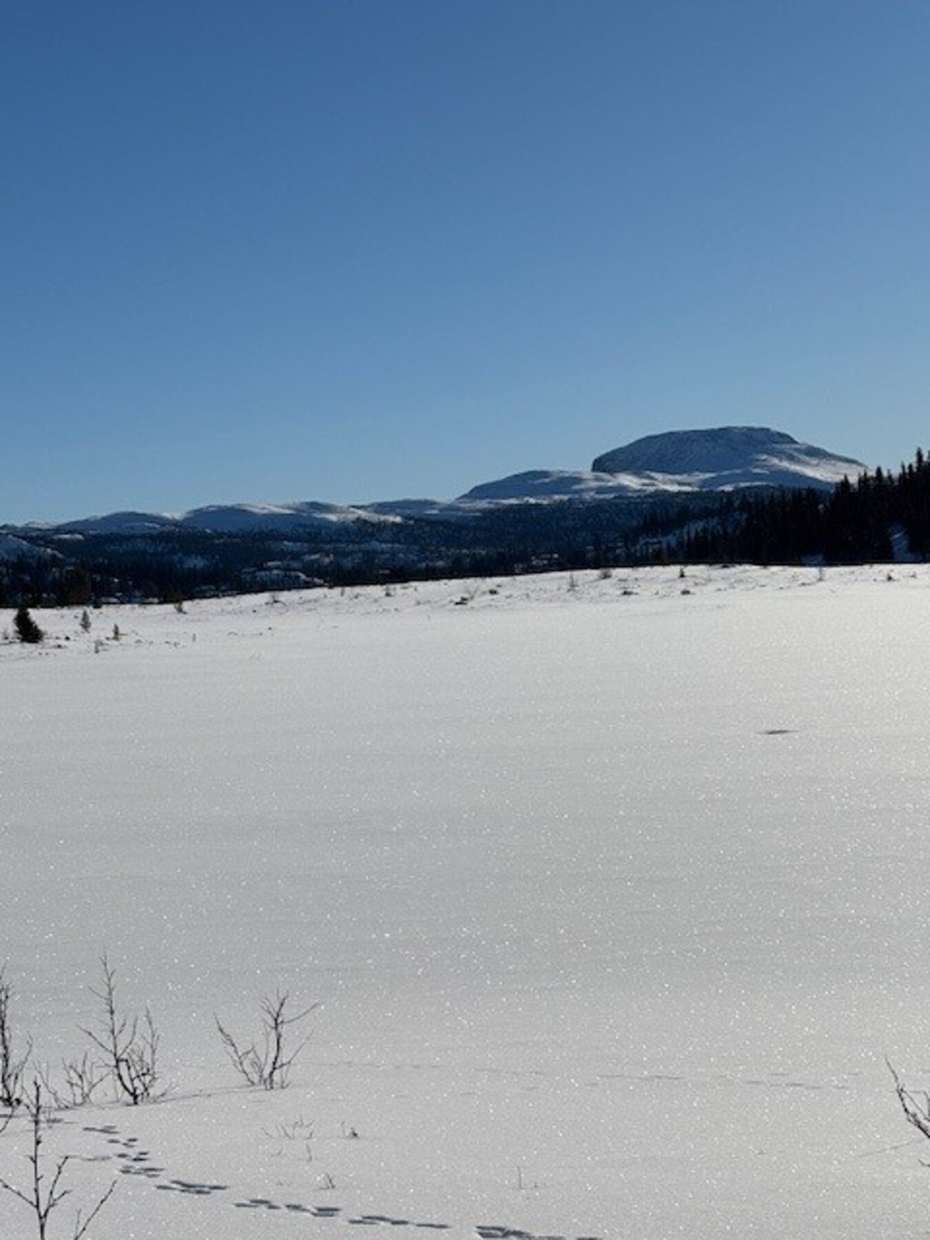 Herfra kan en i spenne på seg fskia og traske innover de majestetiske fjellområdene på jakt etter stillhet og unike naturopplevelser. Galleribilde