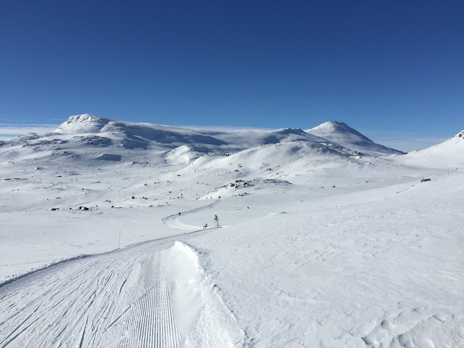 Nærområdet - Privat bilde Galleribilde