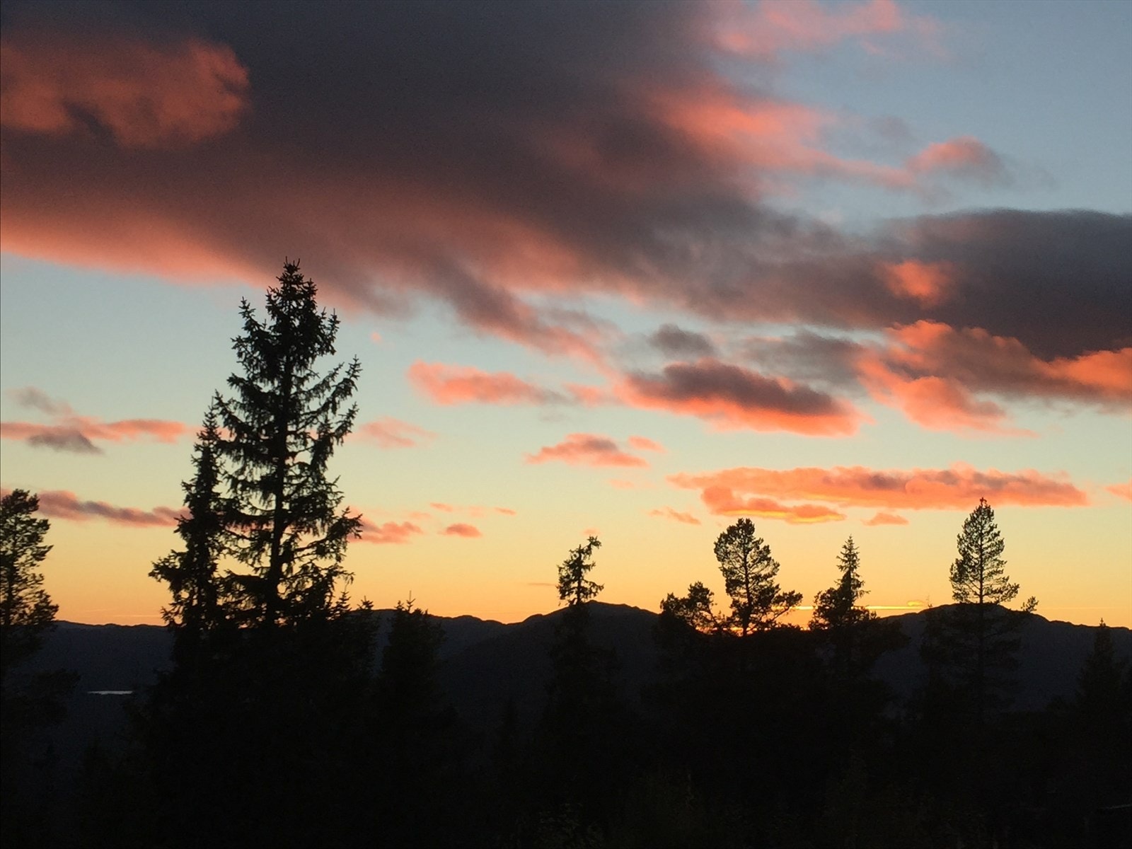 Usikt - Privat bilde Galleribilde