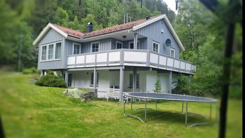 Privat foto fra sommer Galleribilde