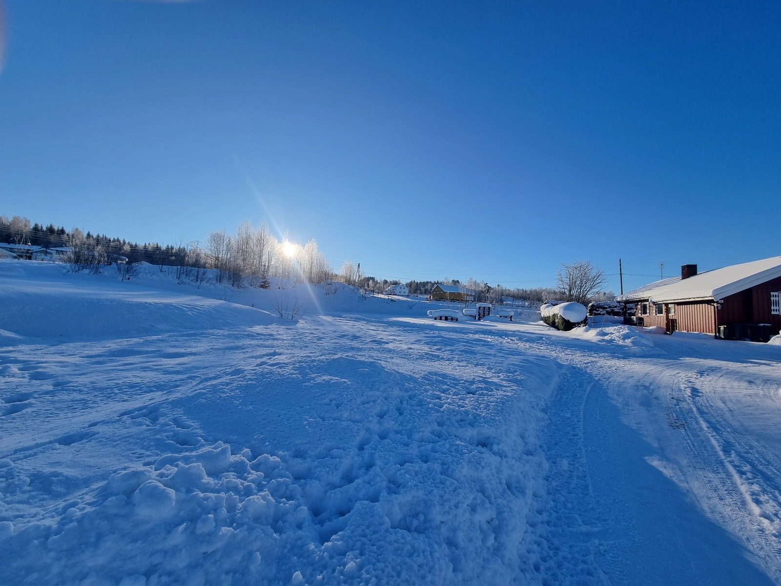 Tomtebilde tatt i januar med lav sol Galleribilde