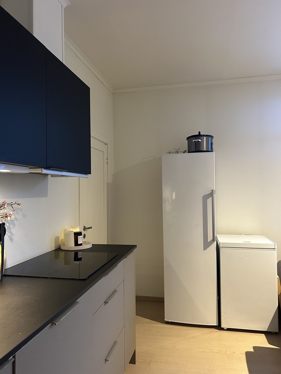 Ekstra fryser og kjøleskap som er satt inn Galleribilde