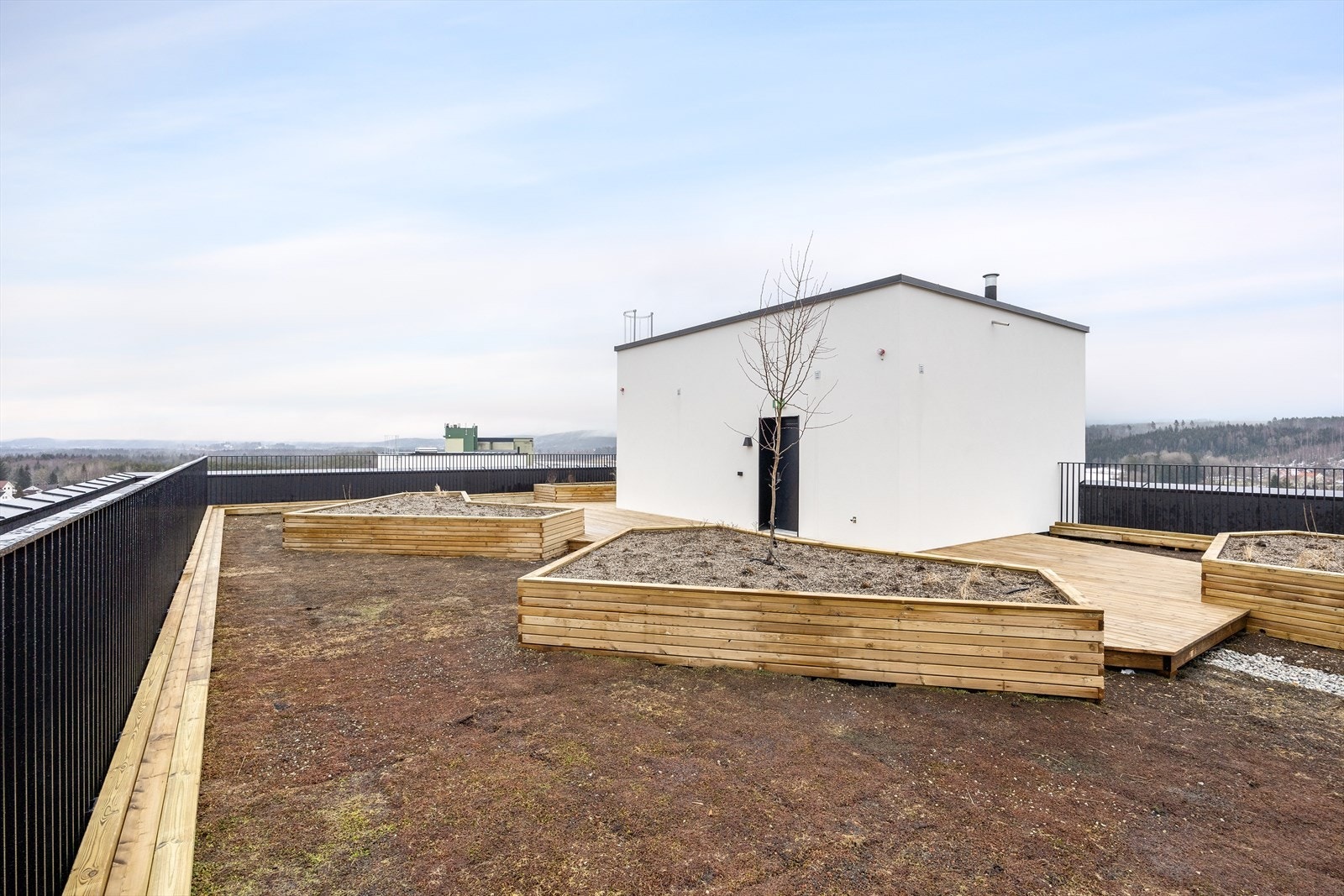 På takterrassen er det blomsterkasser med småtrær og det er sedum på taket - som gir et hyggelig miljø Galleribilde