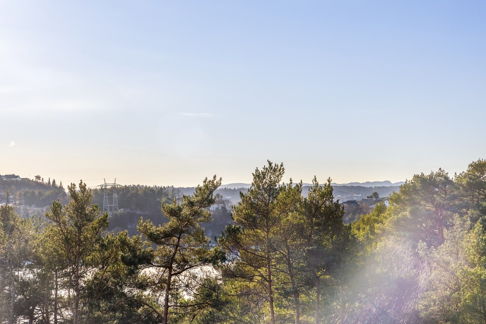 Hjertelig velkommen til visning! Galleribilde