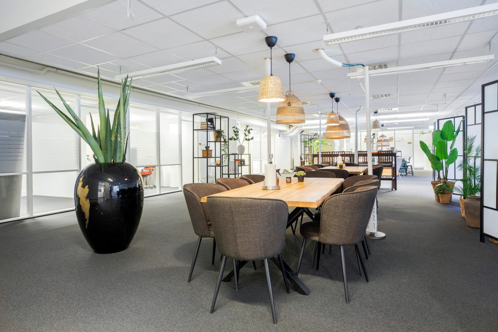 Flotte og lyse sosiale soner Galleribilde