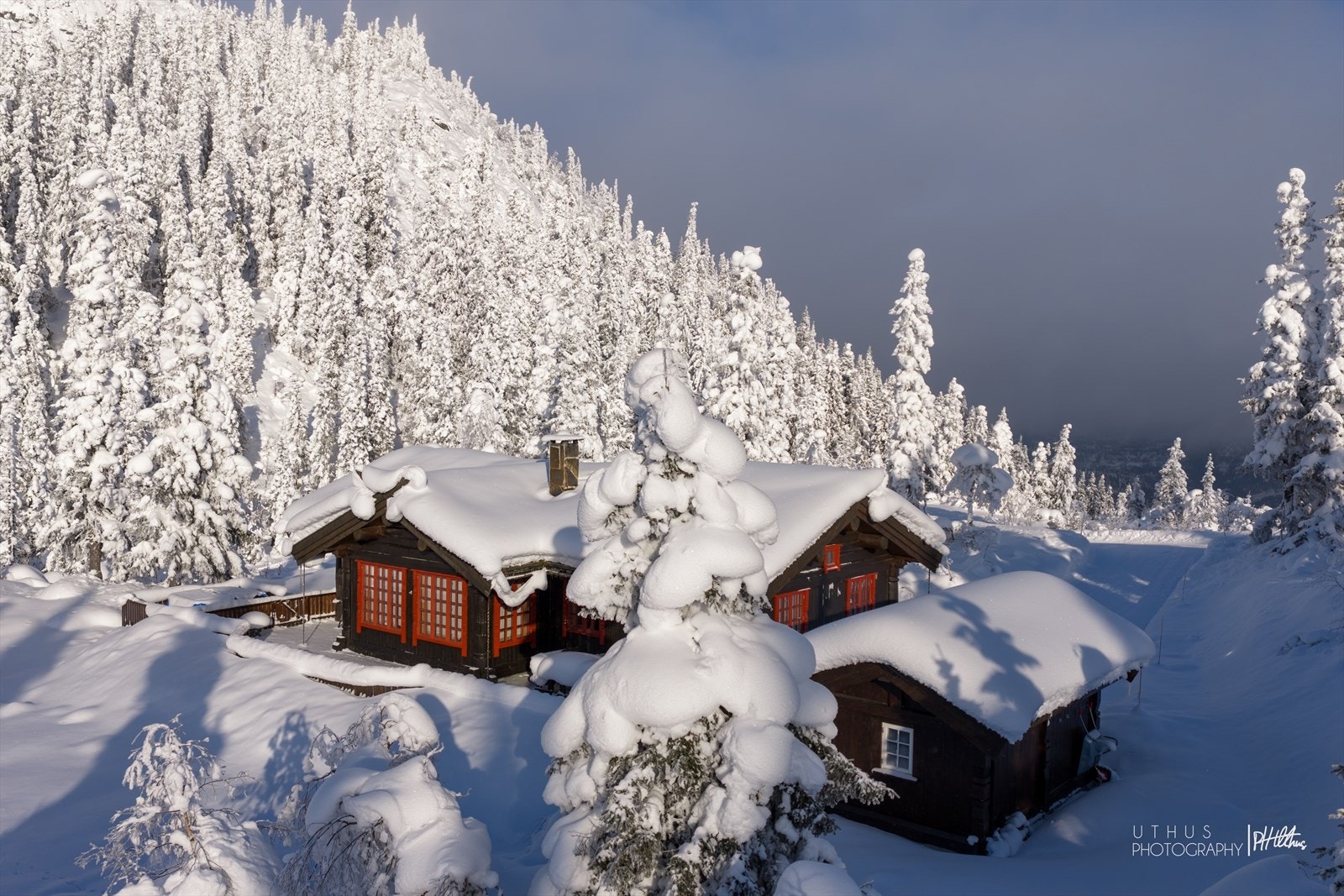 Her kan du nyte dager i solen året rundt Galleribilde