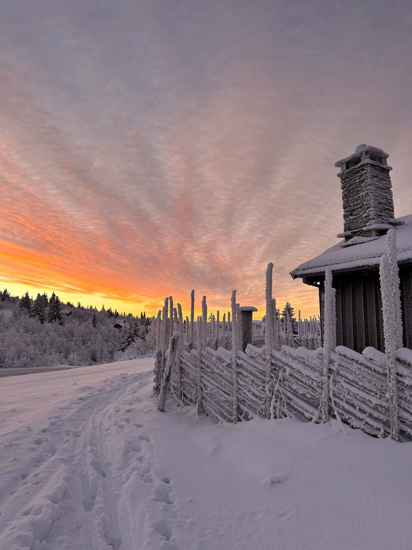 Nydelig januarlys på Trabelia Galleribilde