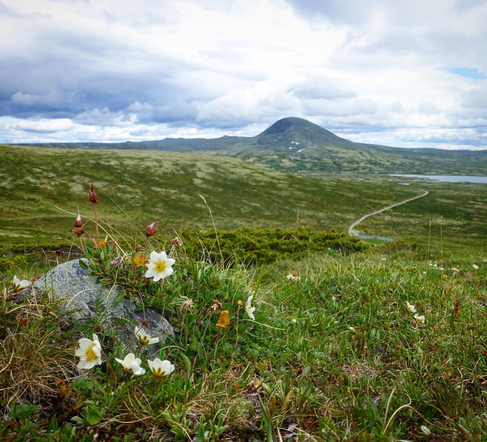 Flott terreng og nydelig vegetasjon Galleribilde