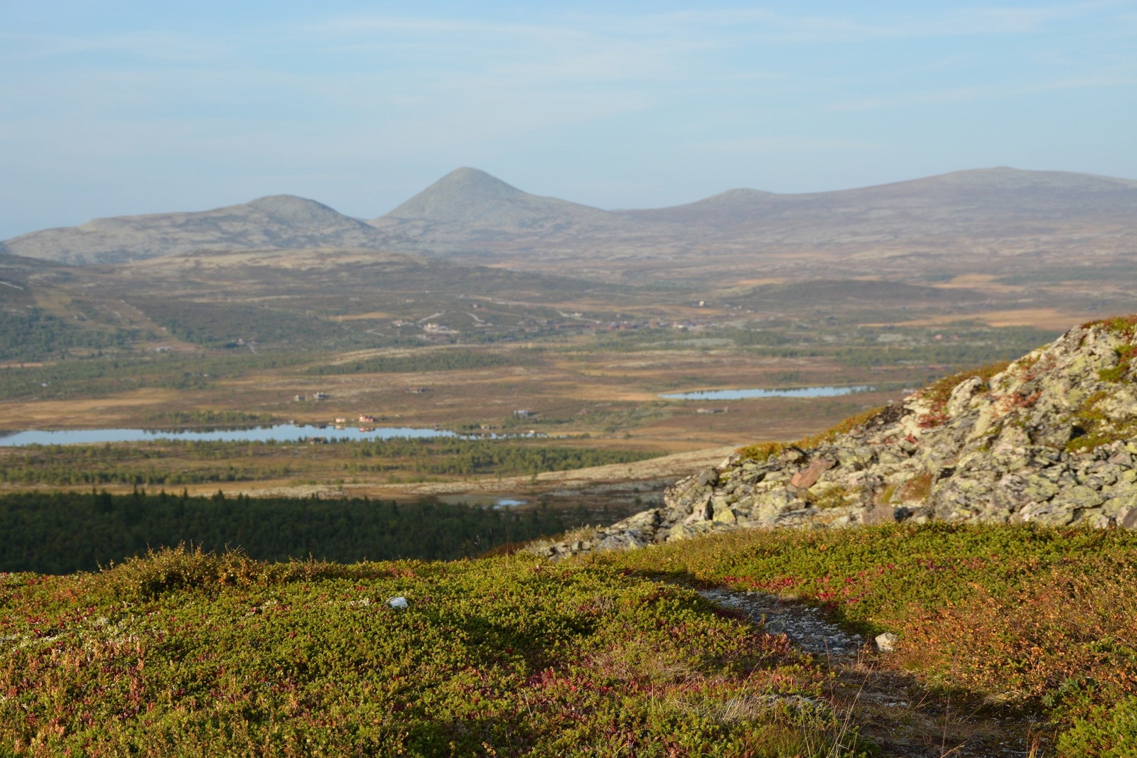 Venabygdsfjellet i høstdrakt Galleribilde