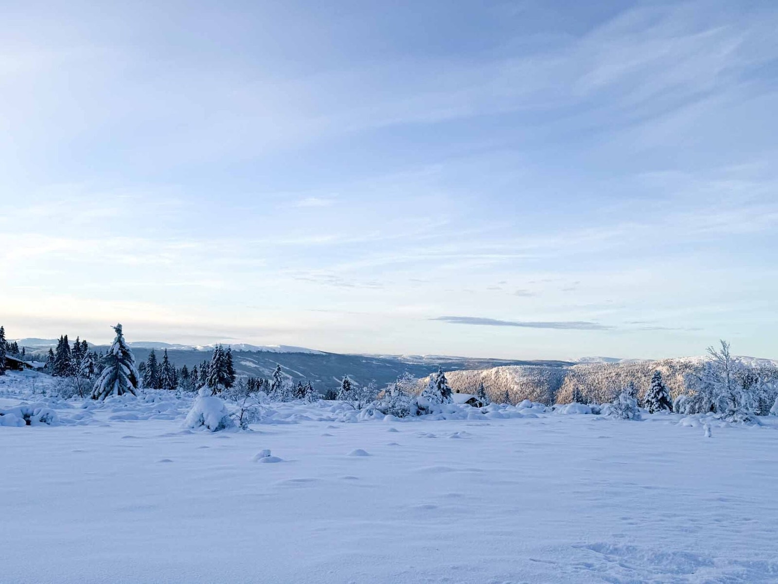 Foto fra tomtene februar 2026 Galleribilde