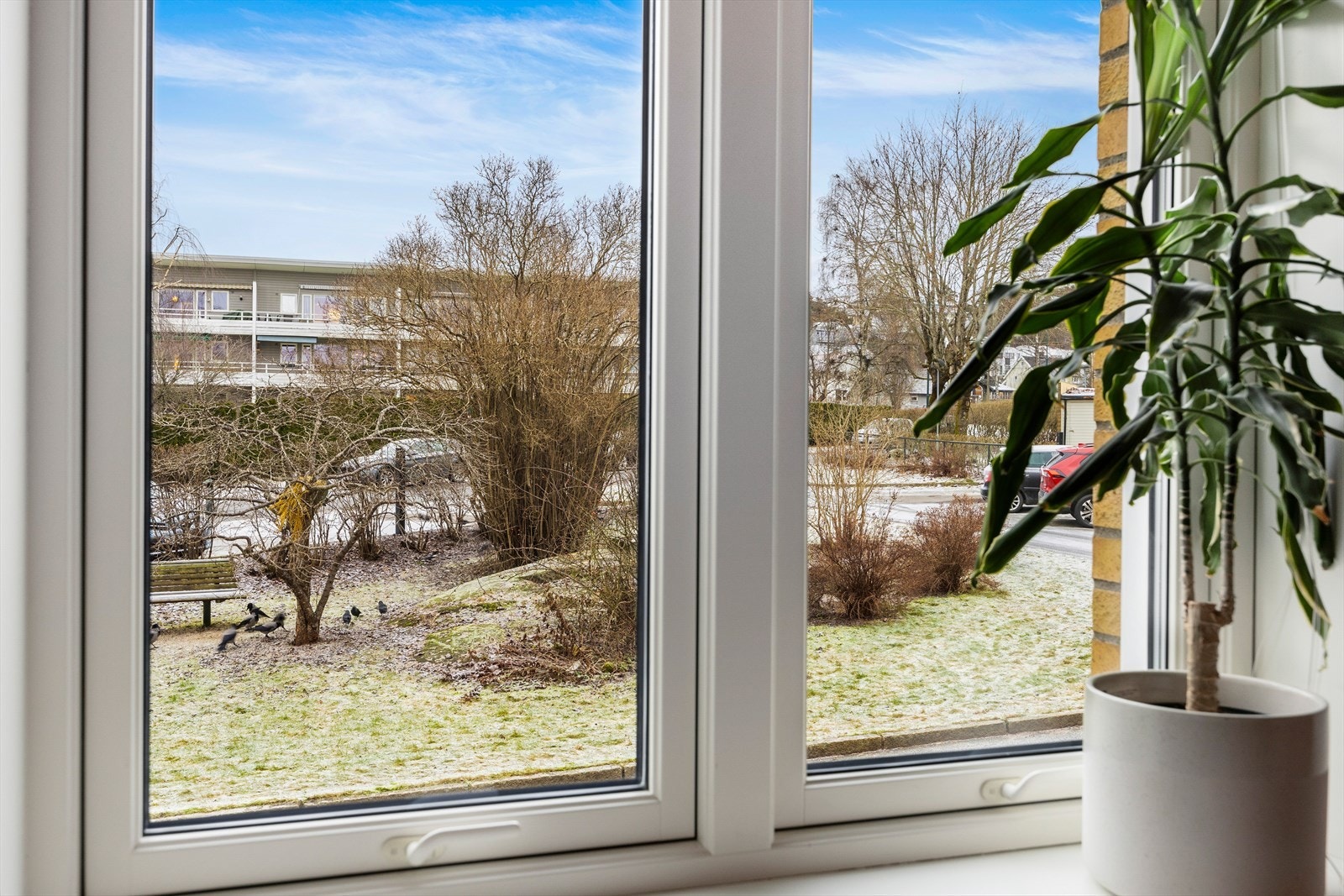 Utsikt fra soverommet ut mot rolige og grønne omgivelser Galleribilde