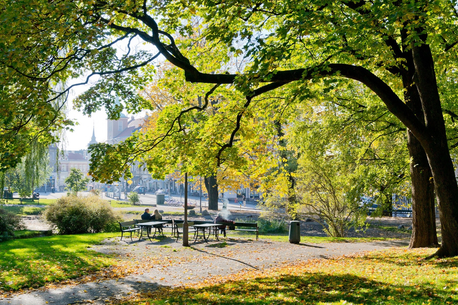 Nærområdet. Galleribilde