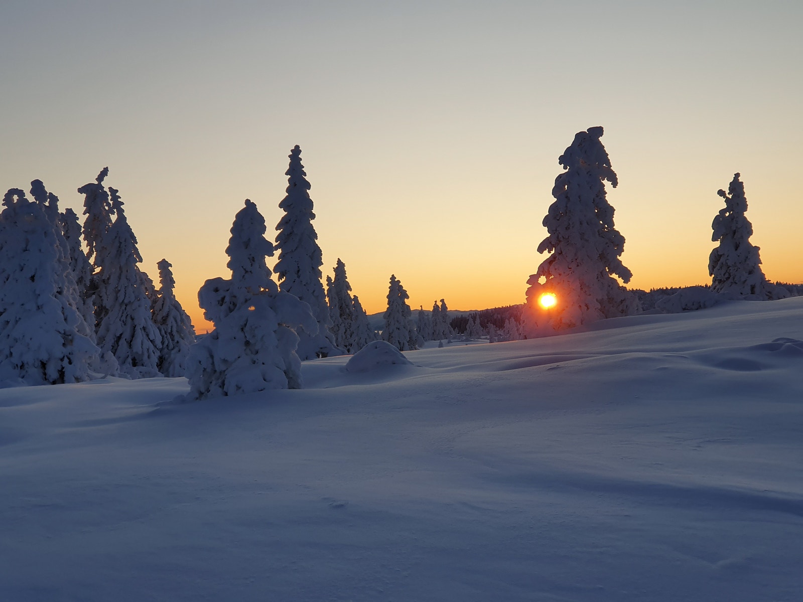 På Blefjell kan du nyte naturen Galleribilde