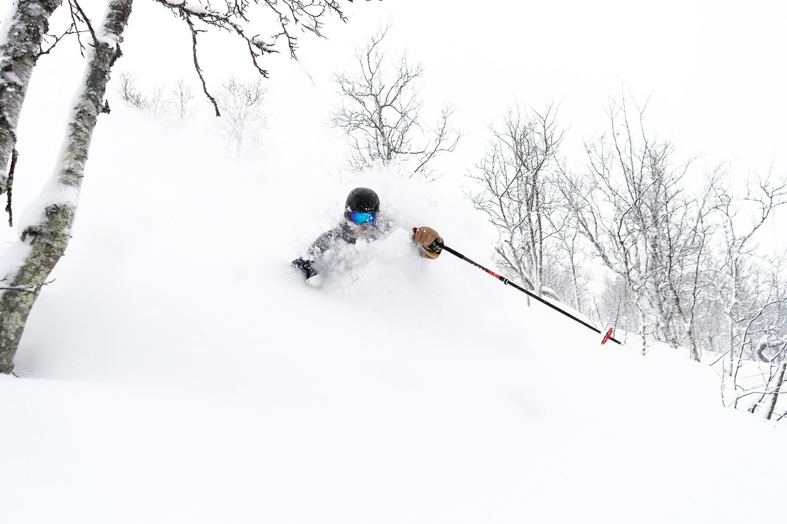 Avslutt skidagen med offpiste gjennom "Gummiskogen" tilbake til Tuv. Galleribilde