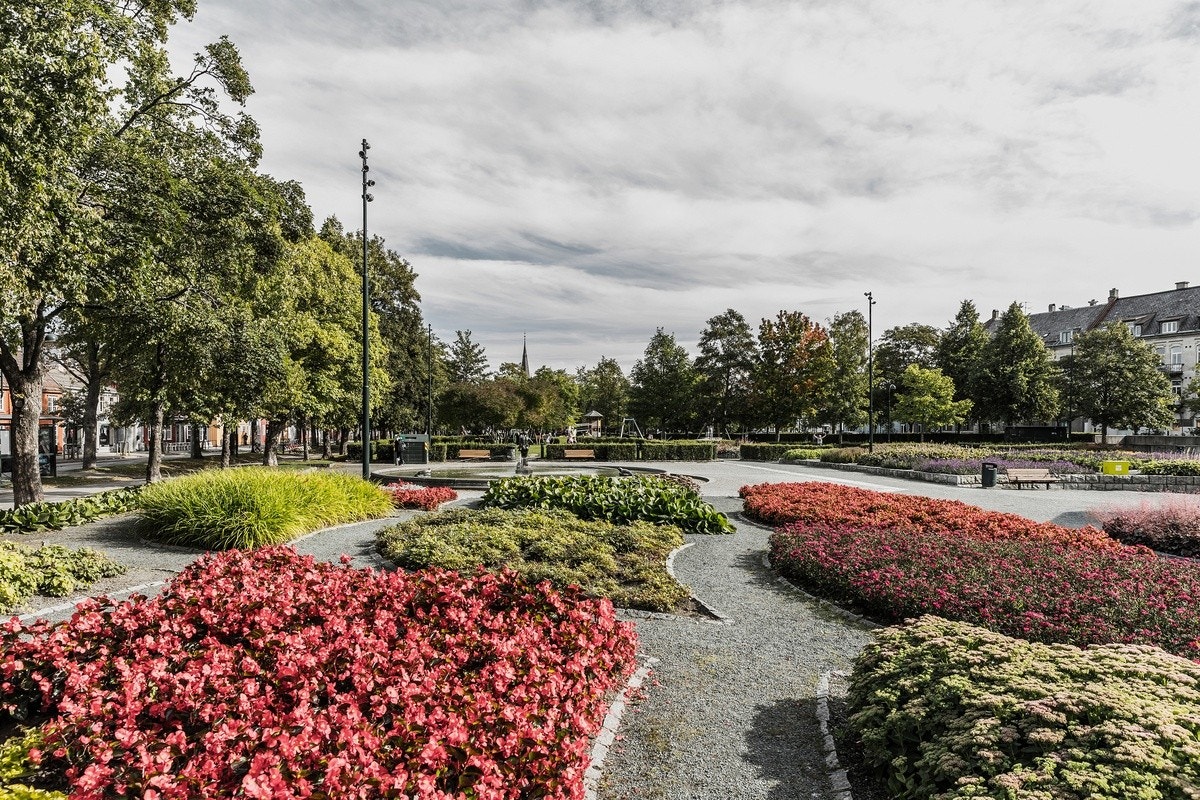 Iladalen park som nær nabo Galleribilde