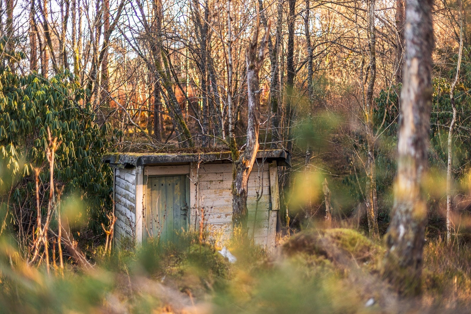 Tilhørende frittstående bod på 3,4m² Galleribilde