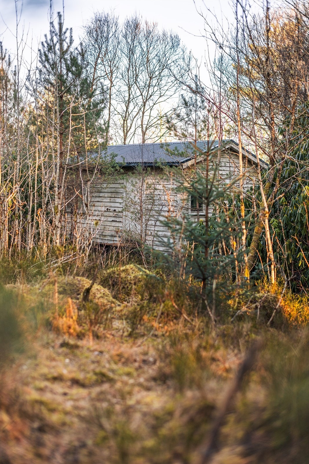 Tomten består av naturtomt foruten eiendommens bygningsmasse Galleribilde