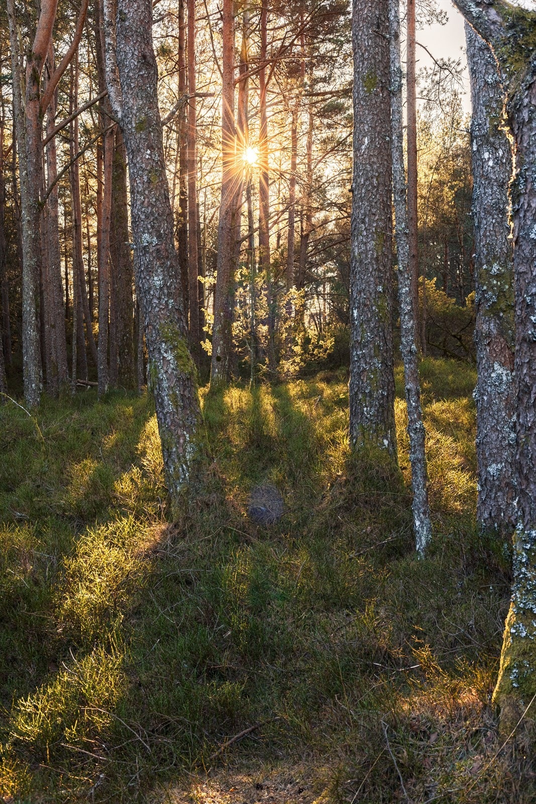 Fritidseiendommen har en landlig og rolig beliggenhet i et etablert område,
med nærhet til natur og rekreasjonsmuligheter Galleribilde