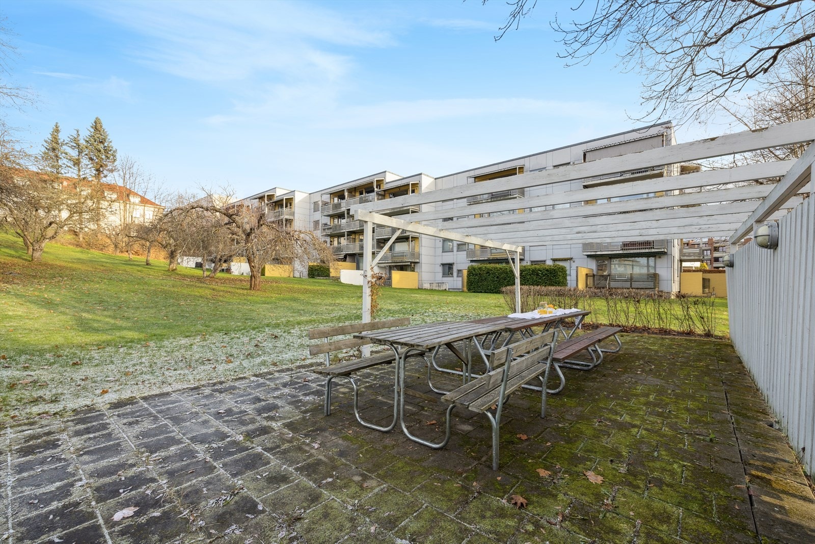 Fellesområde med sittebenker og stor eplehage. Galleribilde