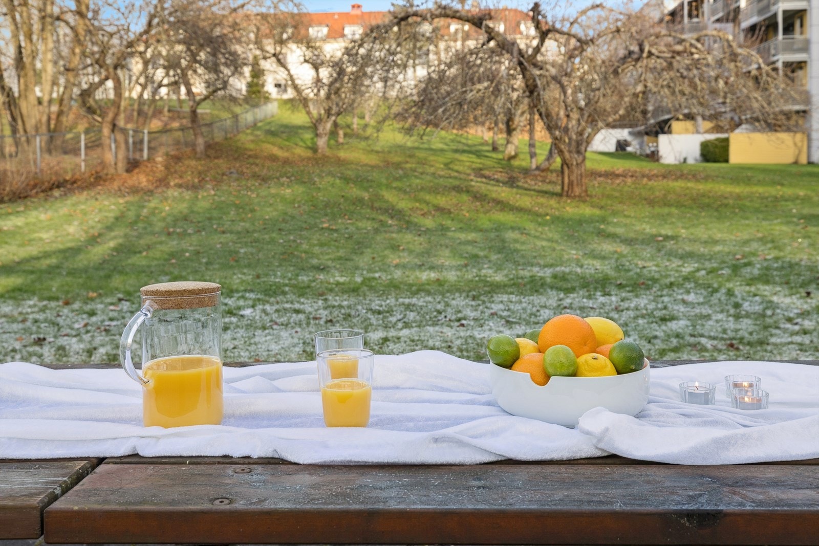 Hyggelig fellesområde med stor eplehage og sittebenker. Galleribilde