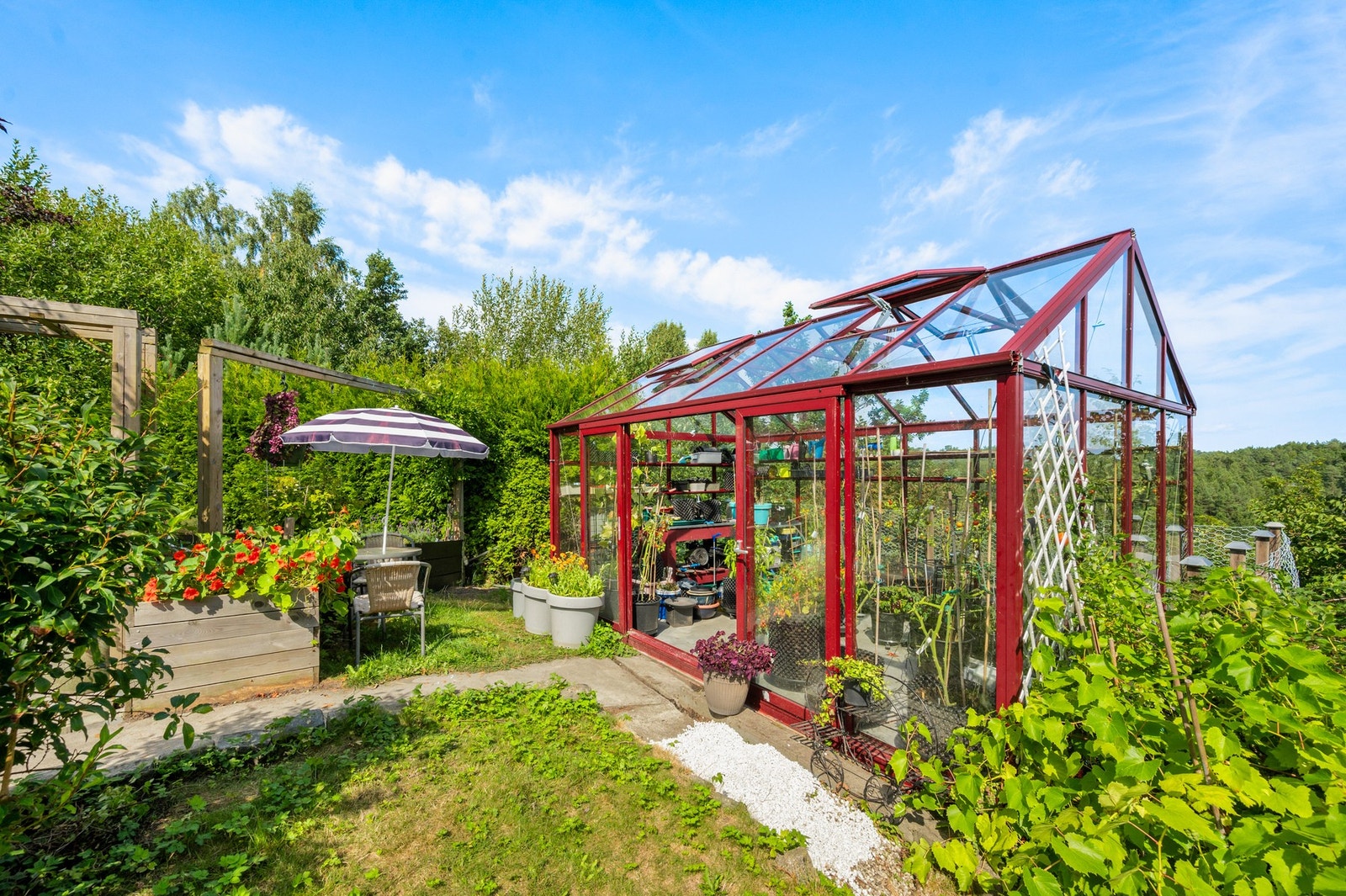 Herlig drivhus, enten til deg som vil dyrke egne grønnsaker eller til bruk som sommerstue Galleribilde