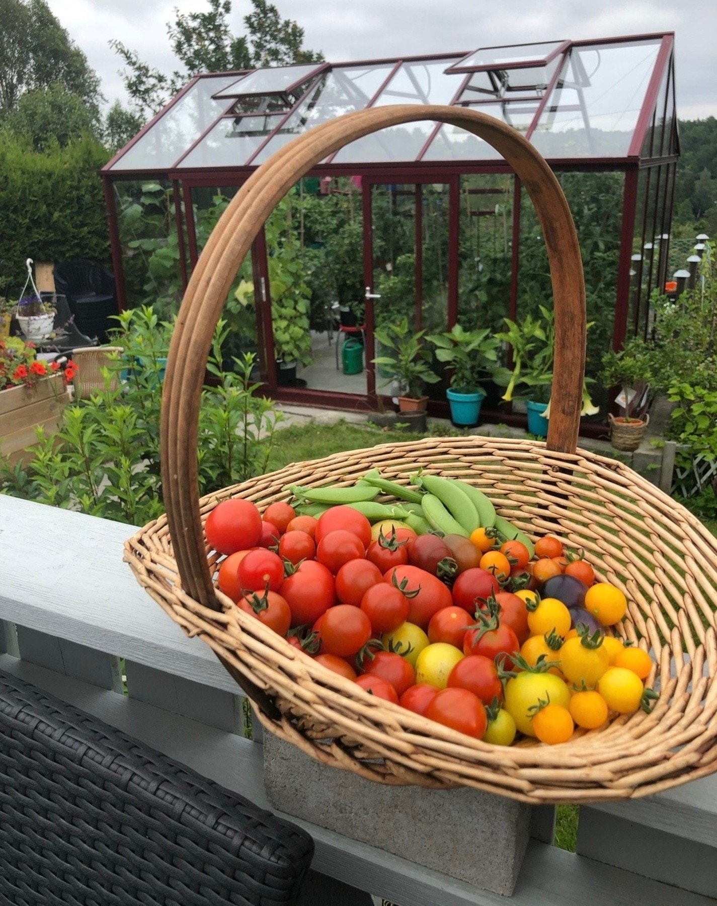 Noe av produktet fra egen hage Galleribilde