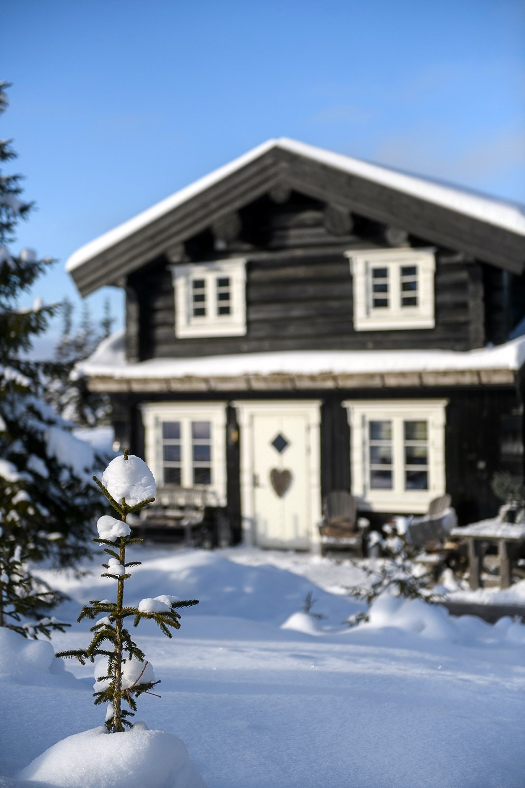 Tradisjonell stil med moderne kvaliteter og en malt heltre ytterdør. Galleribilde