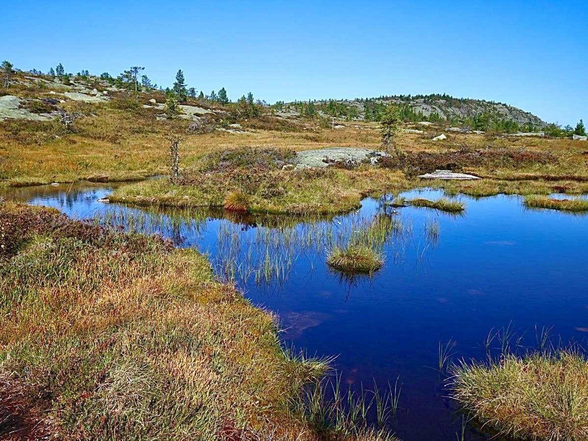 Typisk fjellterreng med små tjern, perfekt for turer og utforsking i nærområdet. Galleribilde