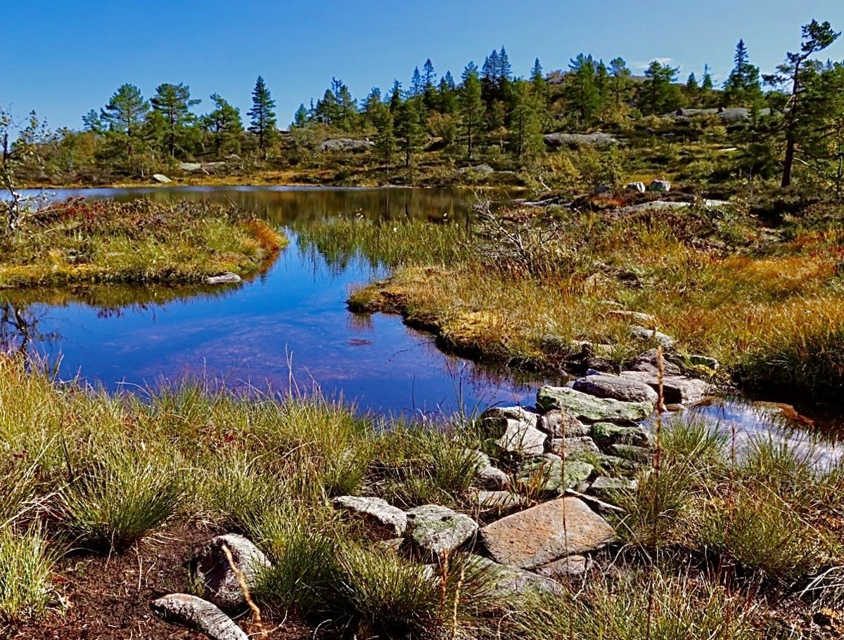Variert og åpent landskap med flotte turområder rett utenfor døren. Galleribilde