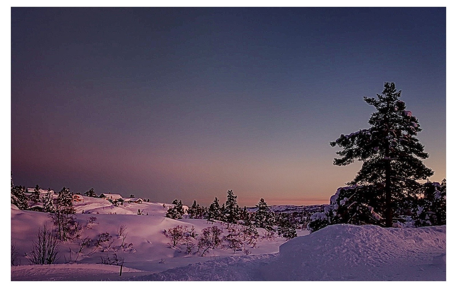 Storslått utsikt over vinterkledd natur, med vidder og skog så langt øyet rekker. Galleribilde