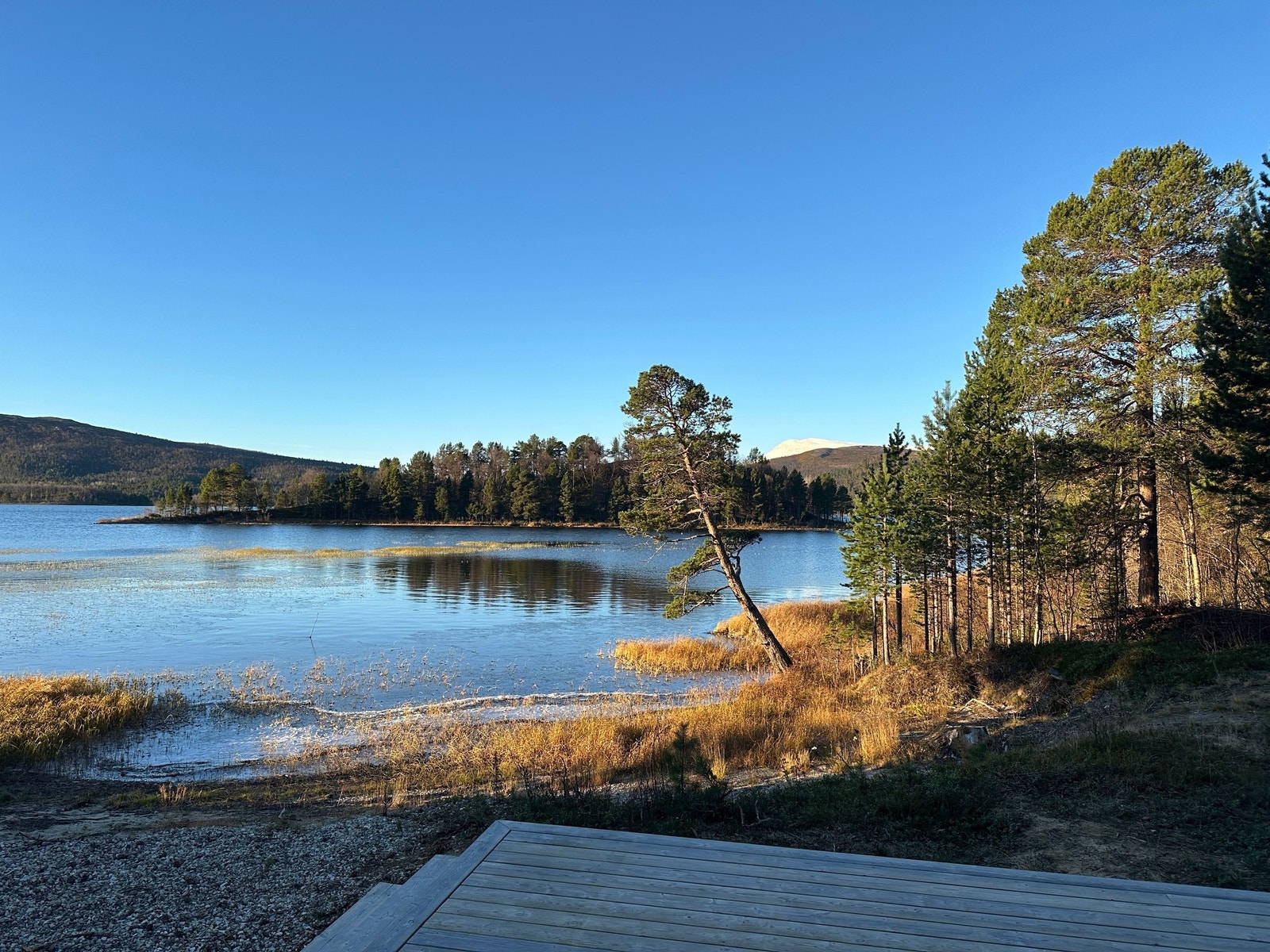 Stemningsbilde høst. Galleribilde