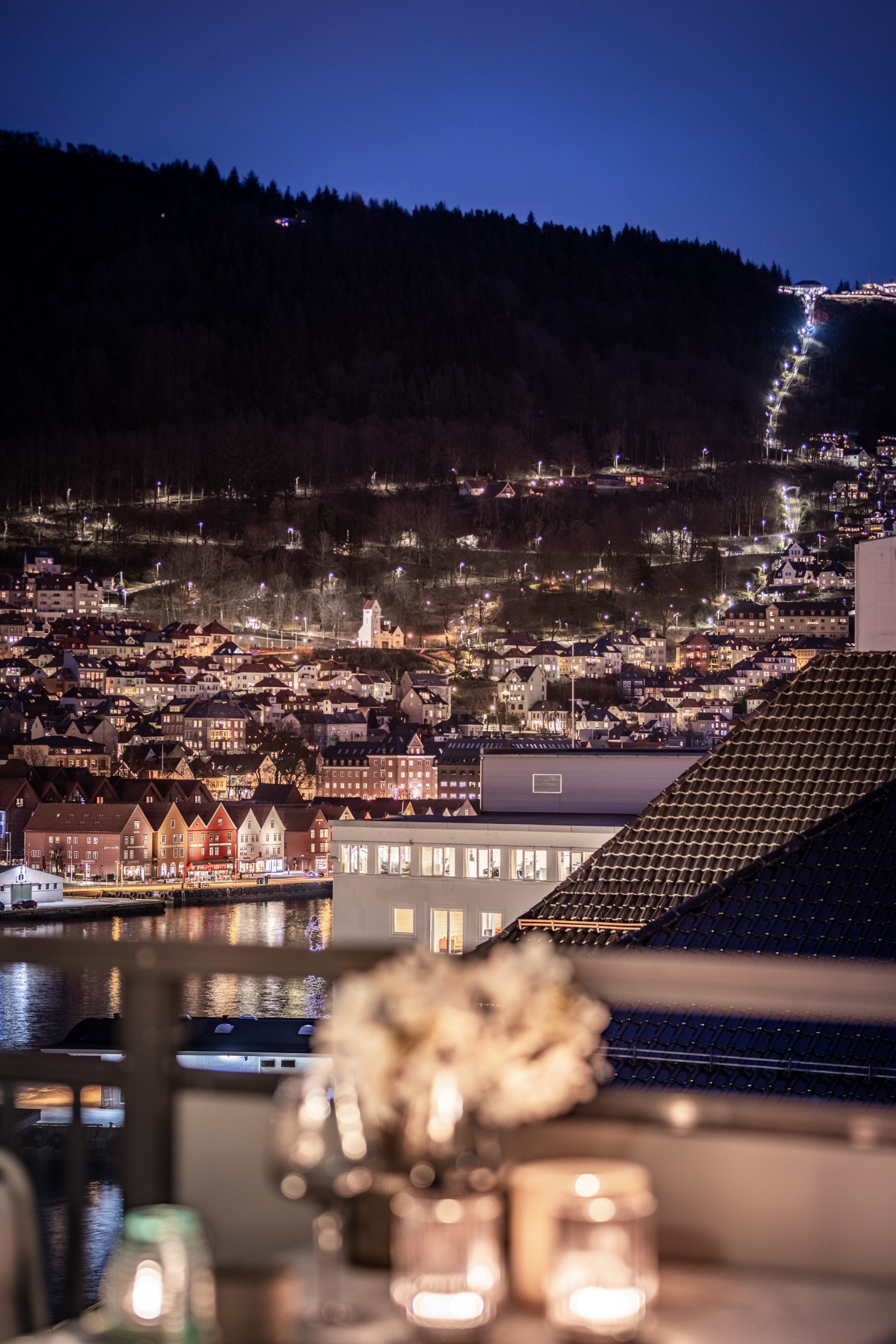 - Upåklagelig utsikt opp mot Fløyen - Galleribilde