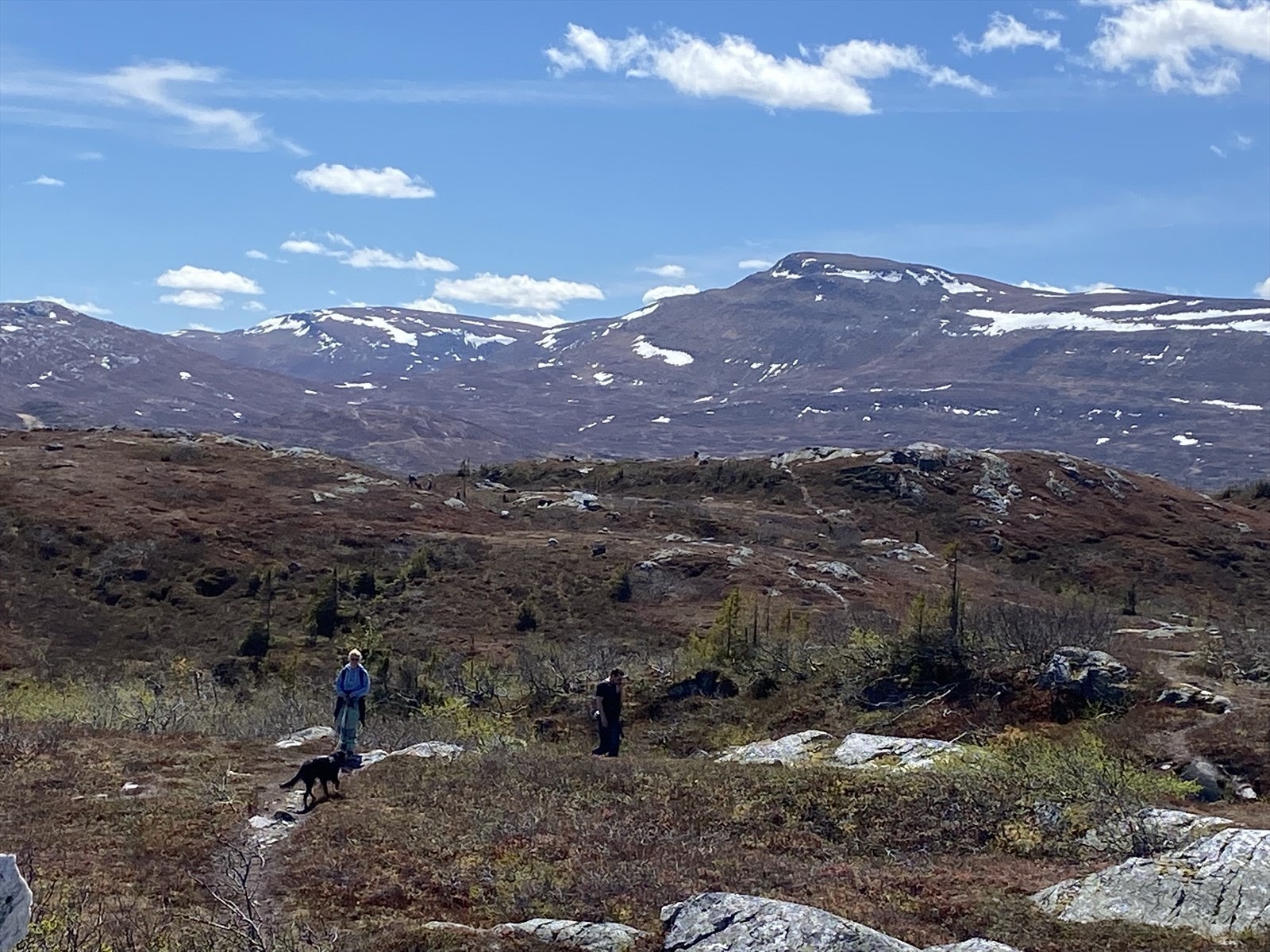 Selgers private bilde Galleribilde