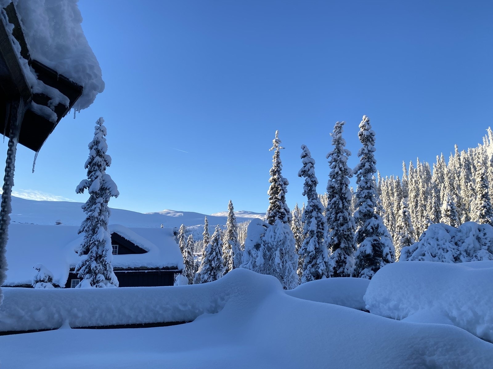 Naturskjønne omgivelser! Galleribilde