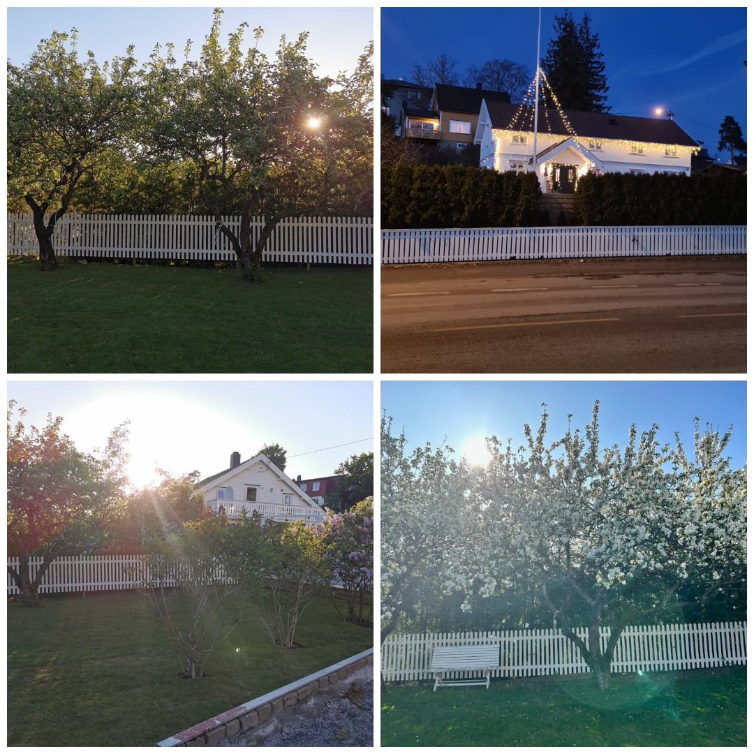 Selgers private bilder. Galleribilde