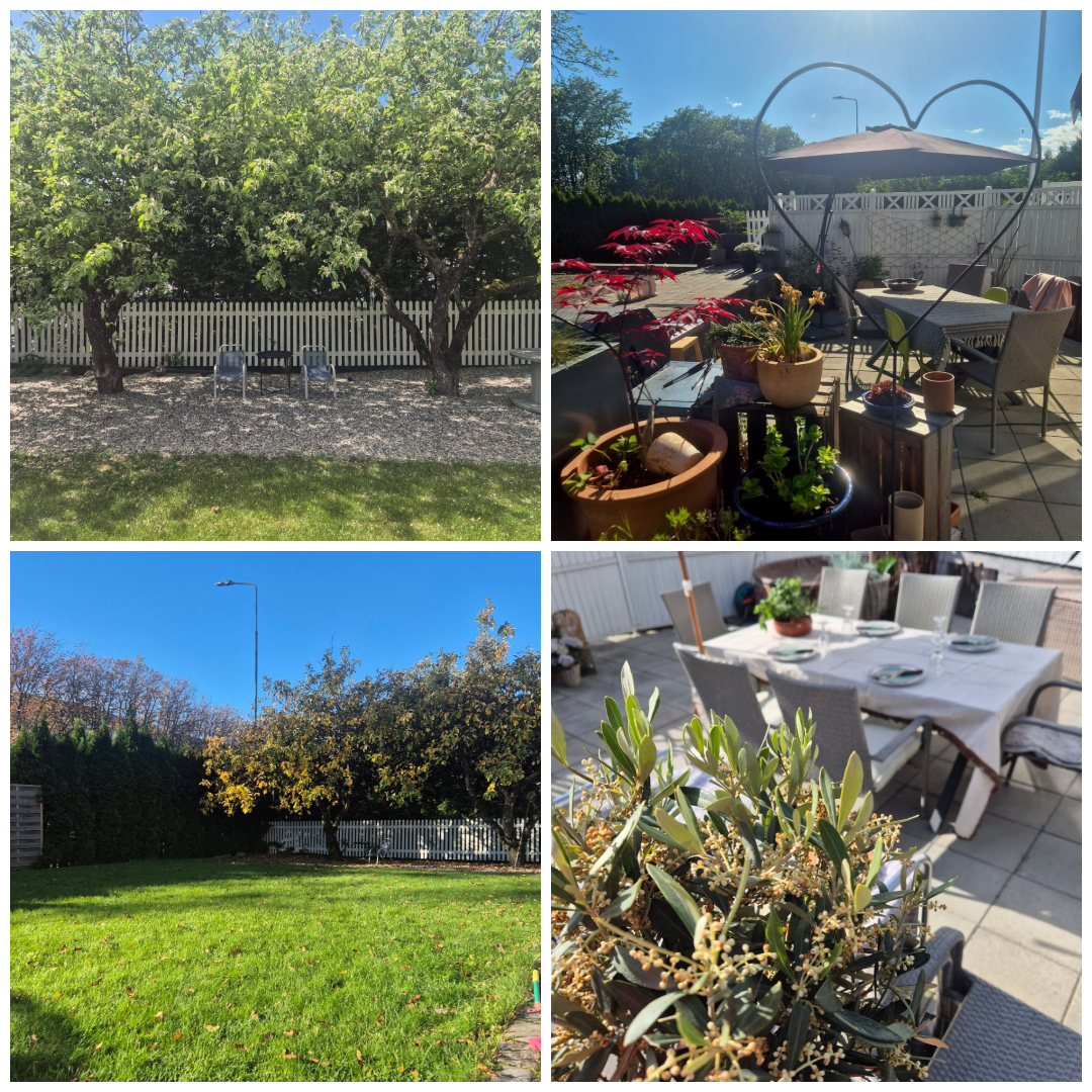 Selgers private bilder. Galleribilde