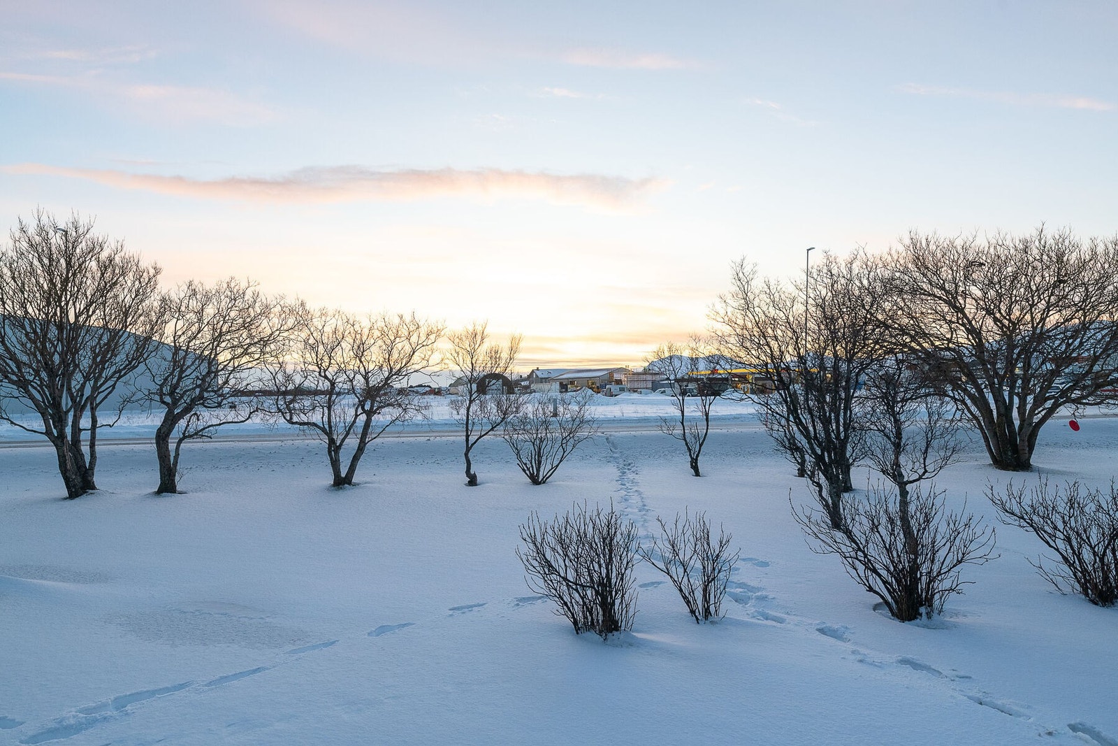 Velkommen til en hyggelig visning! Galleribilde