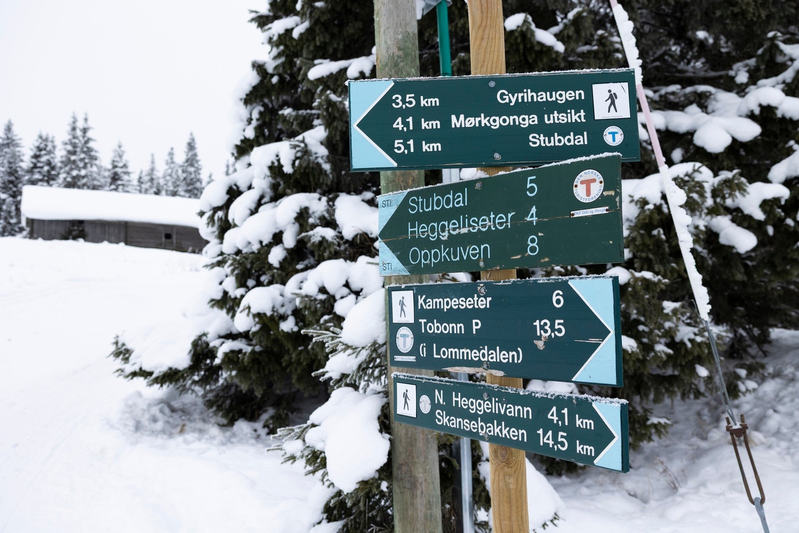 Her kan du følge skiltingen og bli guidet gjennom flotte turstier i sommerhalvåret. Galleribilde