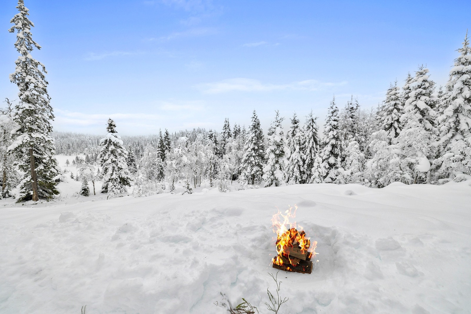 Hytta har god plass på selveiertomta til å lage koselig soner. Galleribilde