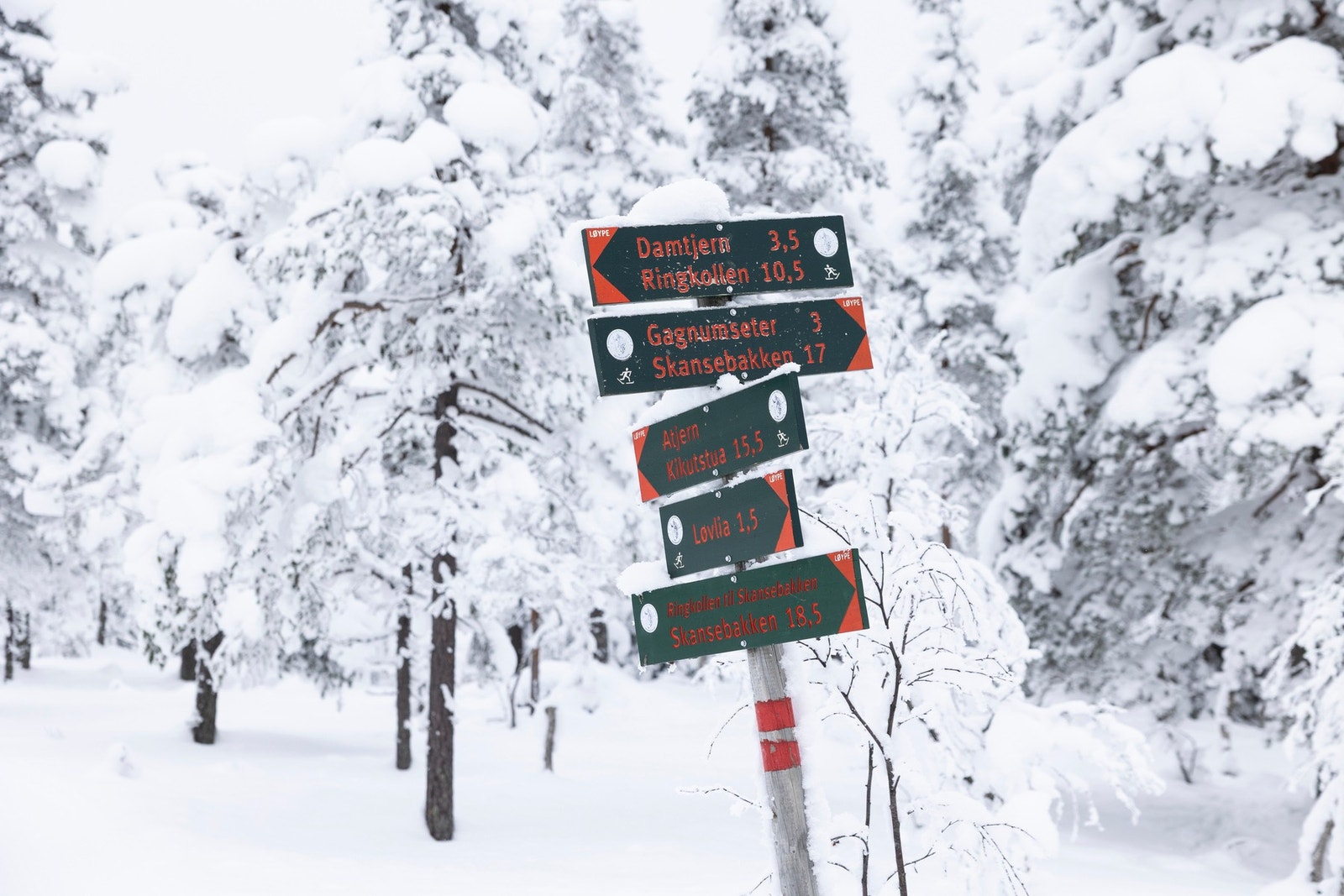 Krysset i løypa ovenfor hytta viser deg de nærmeste og mest populære destinasjonene som du kan begi deg på derfra Galleribilde