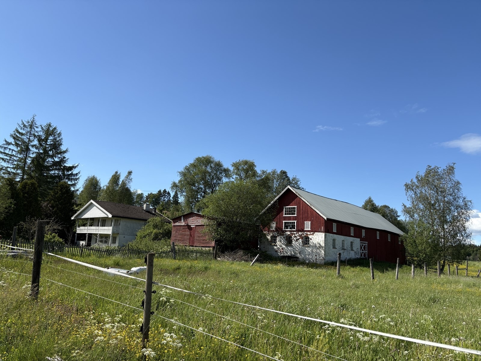 Privat bilde Galleribilde