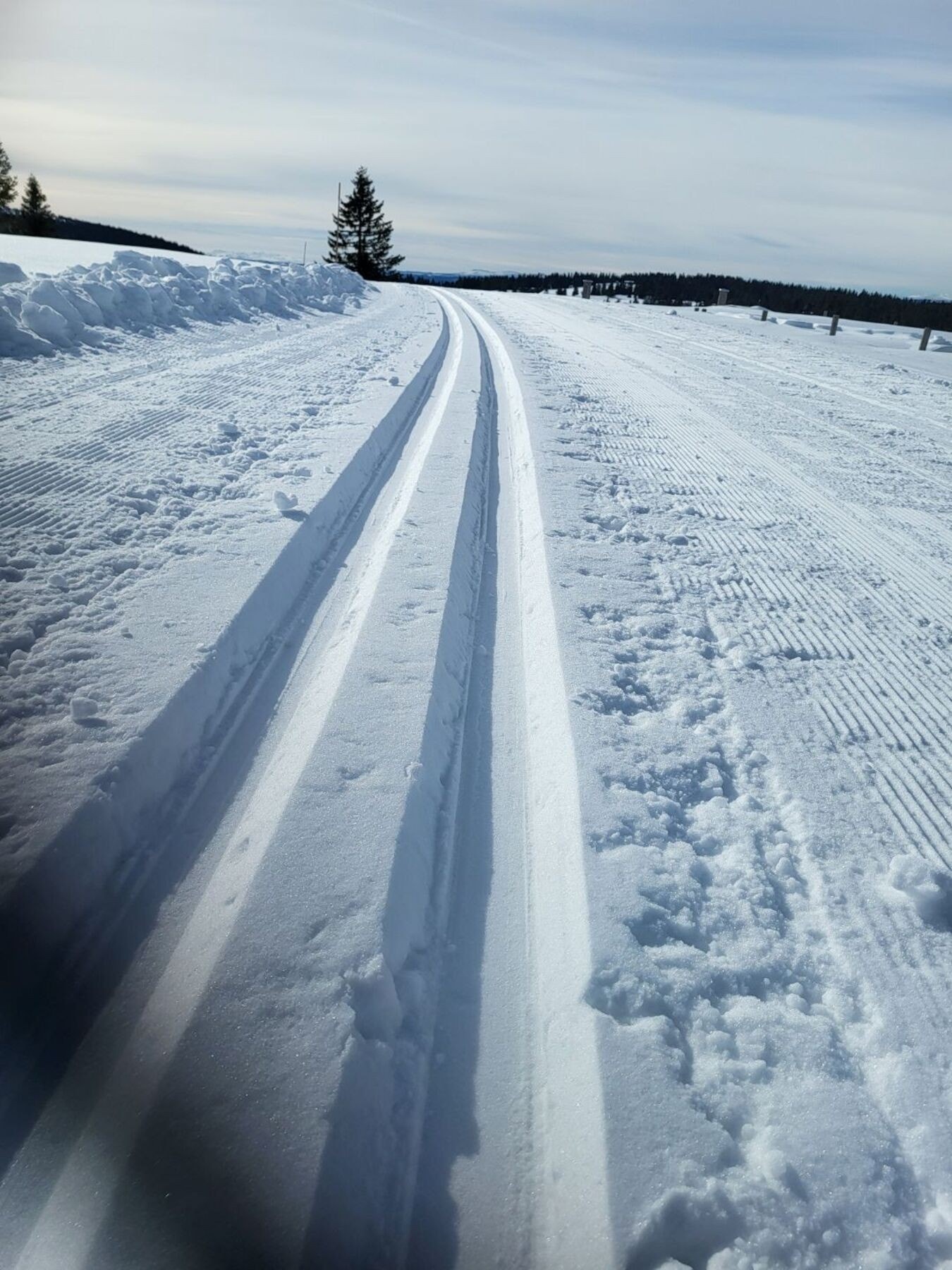 Kort vei bort til skiløypene som er knyttet sammen med resten av Øyerfjellet Galleribilde
