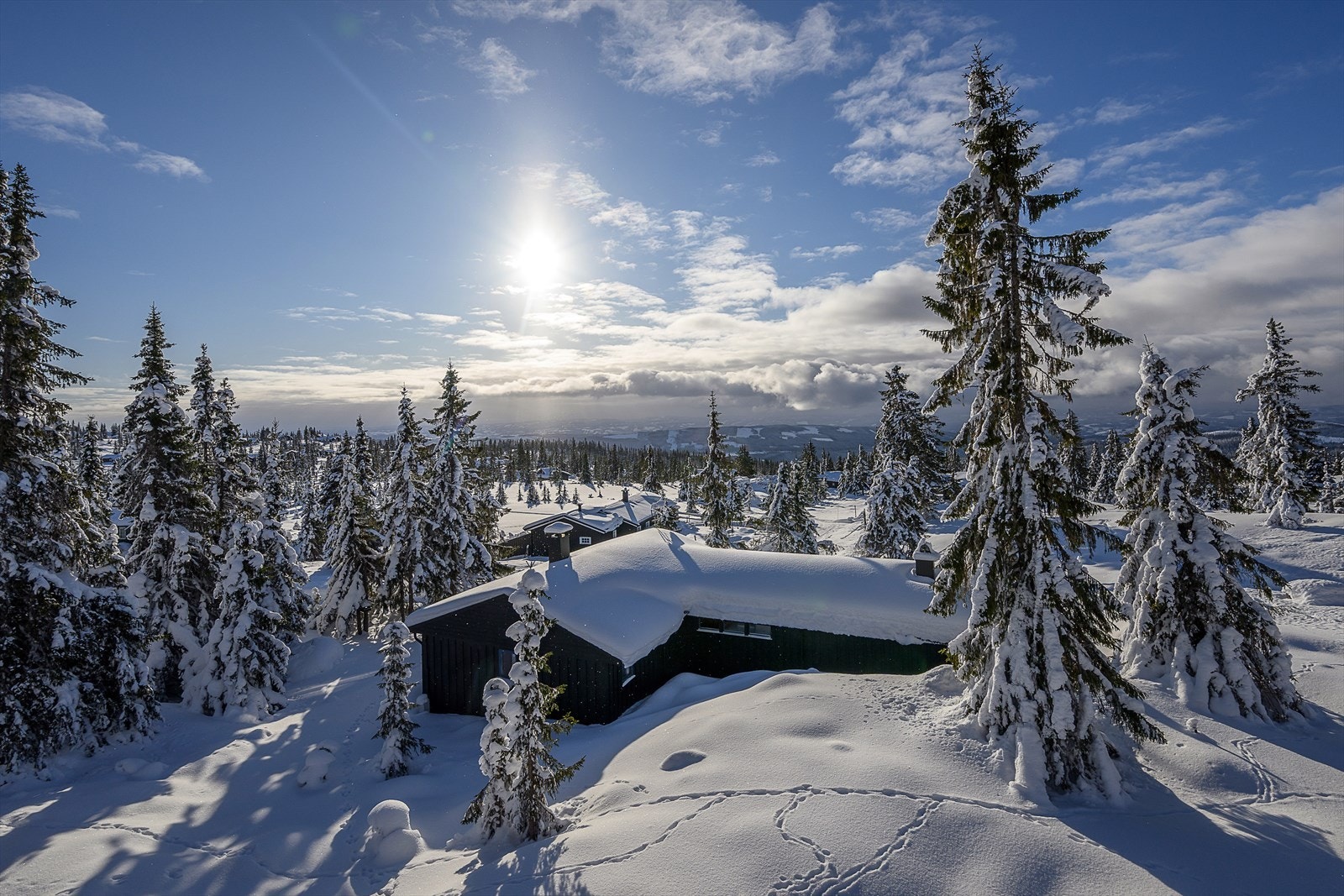 Lett skrånende og kupert terreng rundt hytta. Barnevennlig med relativt liten trafikk forbi. Galleribilde