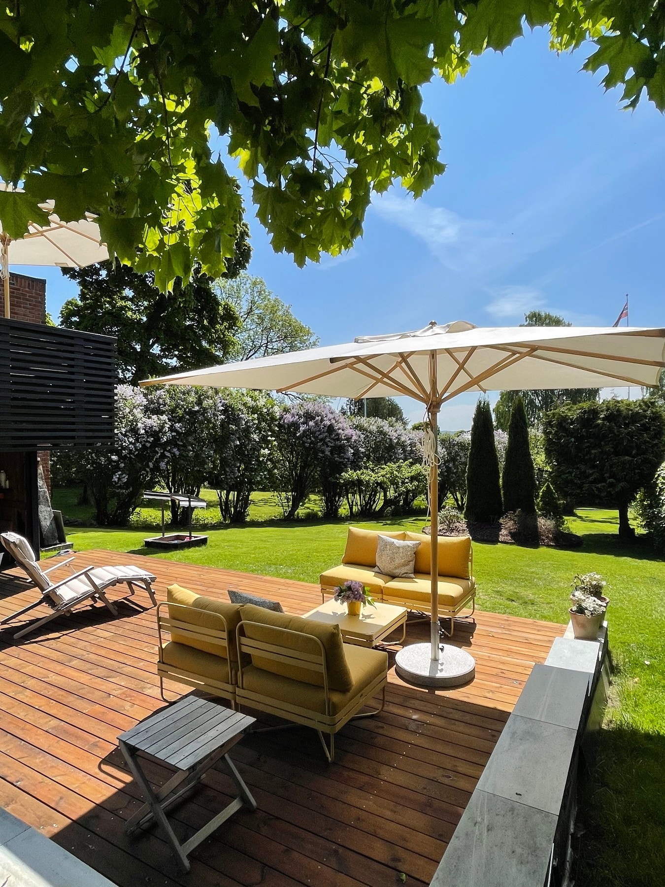 Syrintrær i blomst. Galleribilde